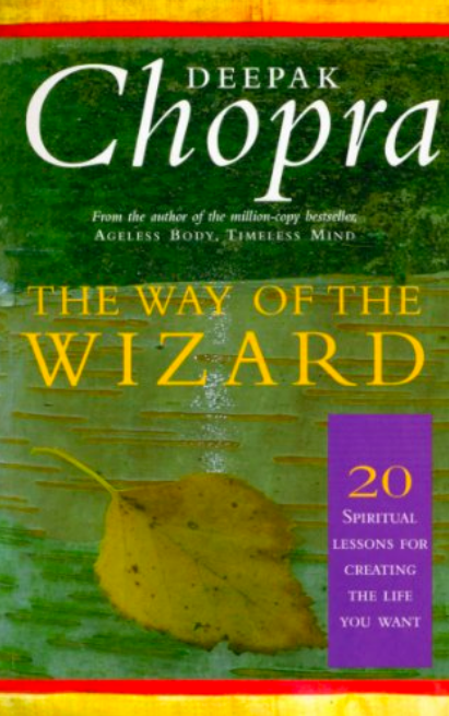 Cover of The Way of the Wizard