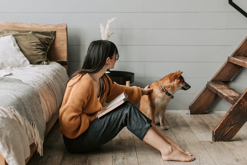 Cozy reading space with books