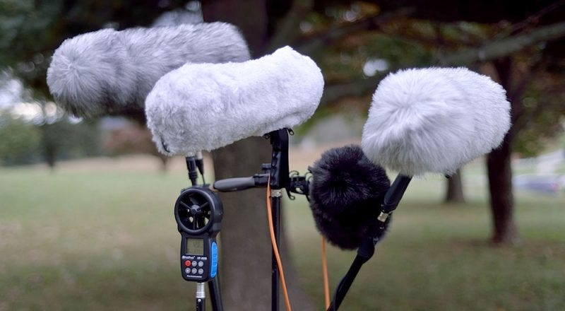 Wind protection for audio recording