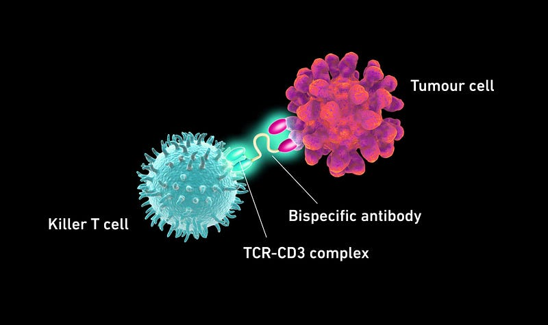 Innovative immunotherapy approach to cancer treatment