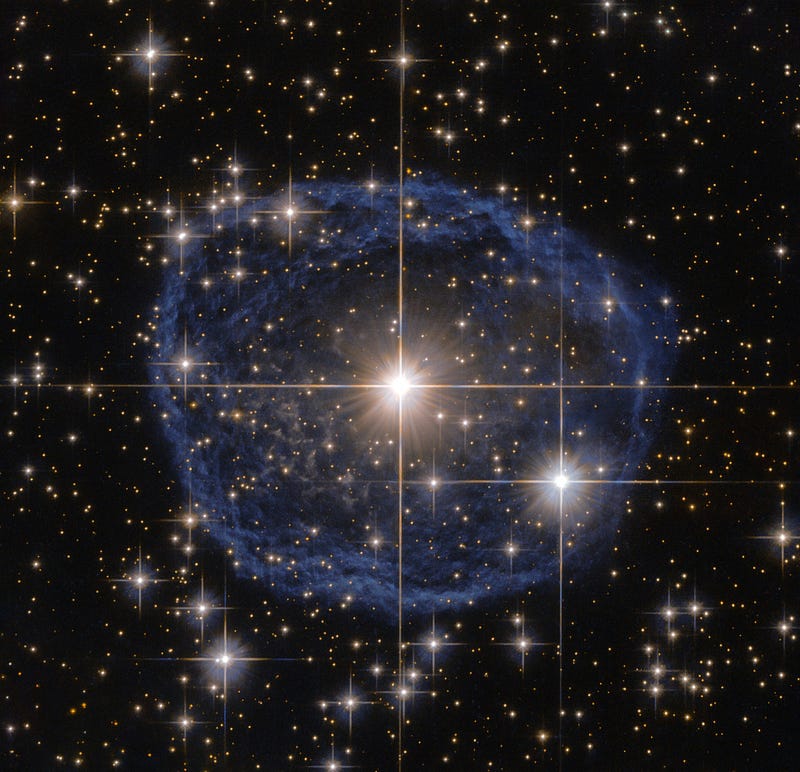 Wolf-Rayet star WR31a and its surrounding wind bubble