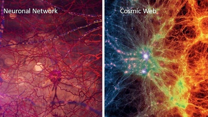 Cosmic neural network representation