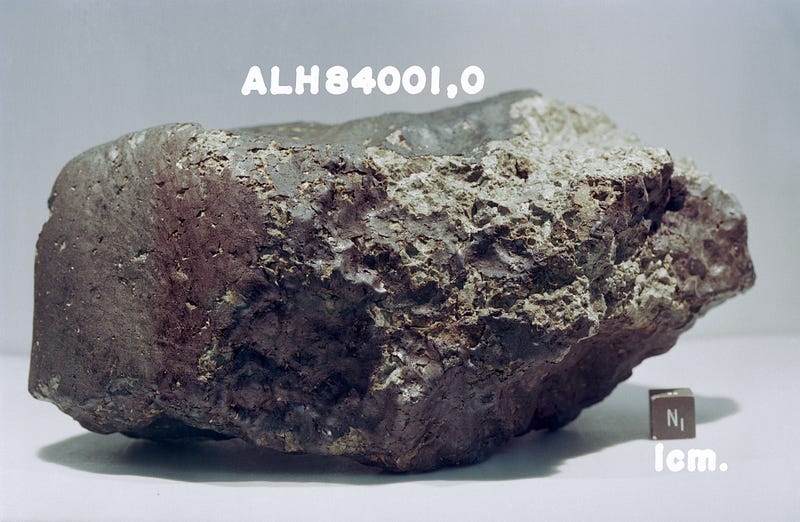 Close-up of ALH84001 showing its unique structure