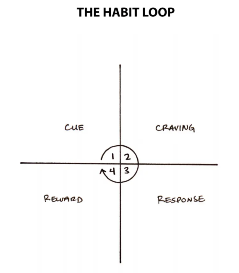 The four phases of the habit loop