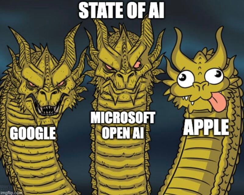 Privacy vs. AI development