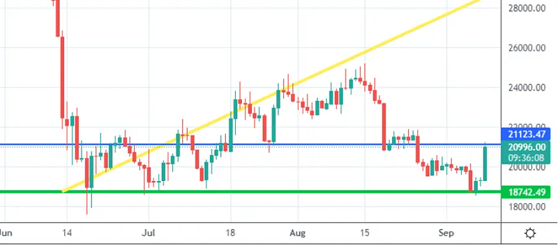 Daily trading chart