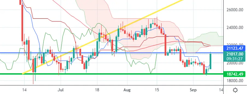 Daily trading chart