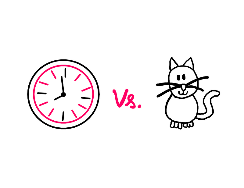 Clock and Cat Conceptual Art