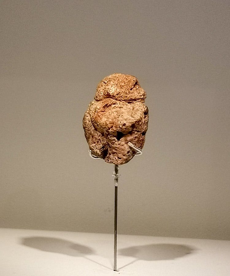 The famous Venus of Willendorf showcasing early human ideals.