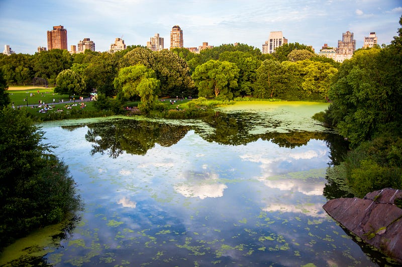 Green urban environment with trees and parks