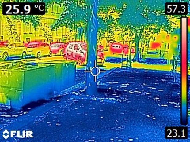 Temperature differences in shaded vs. unshaded areas