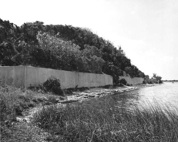 Turtle Mound shell midden in Florida