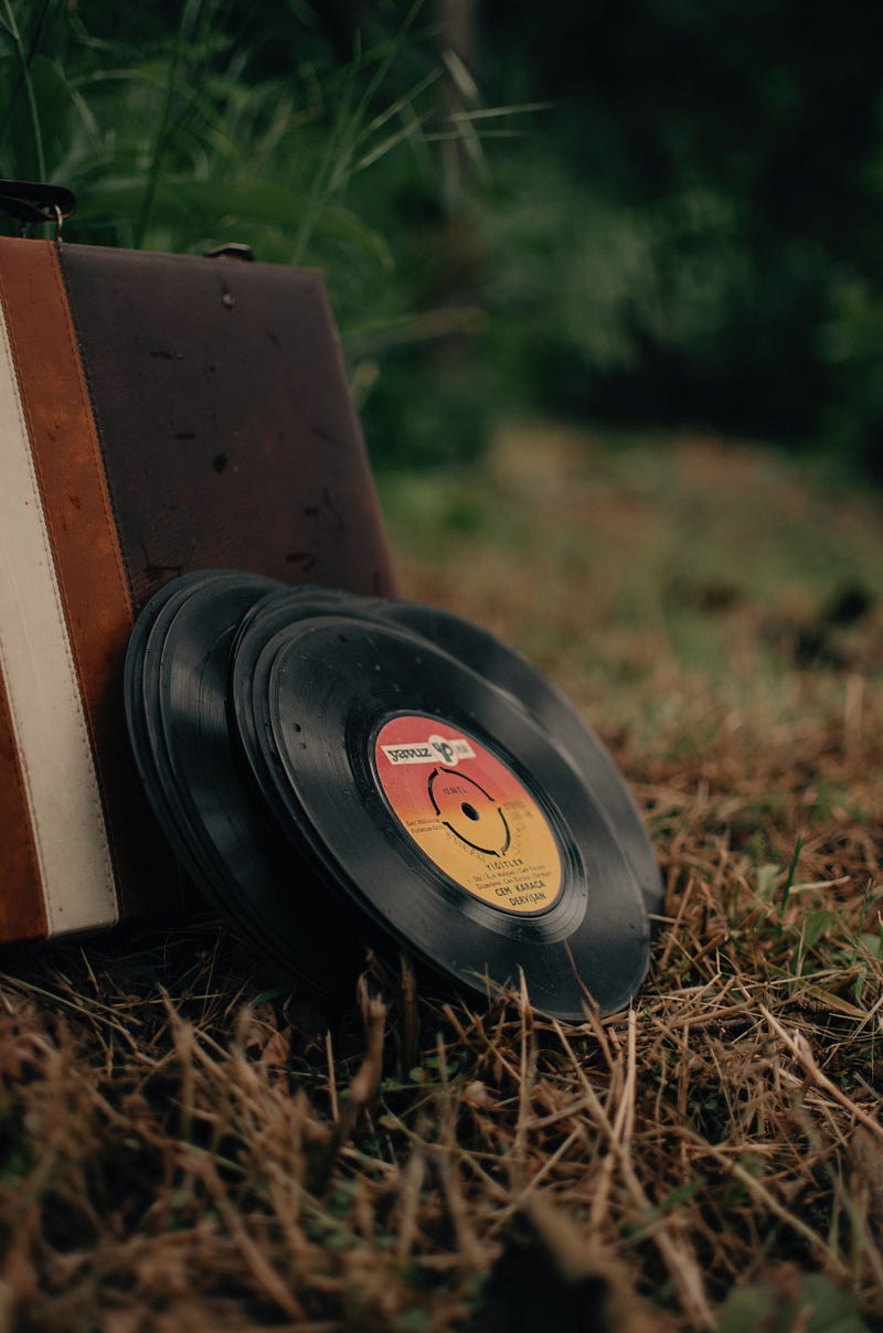 Vintage vinyl records on a suitcase in a meadow