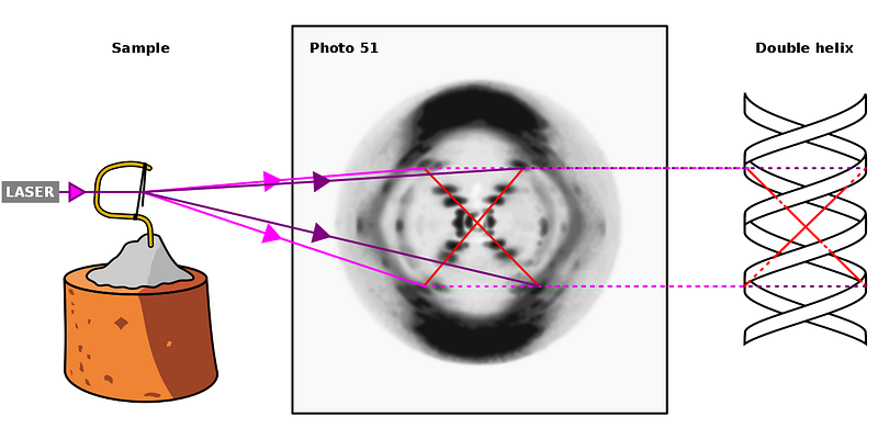 Photo 51: The pivotal x-ray image of DNA