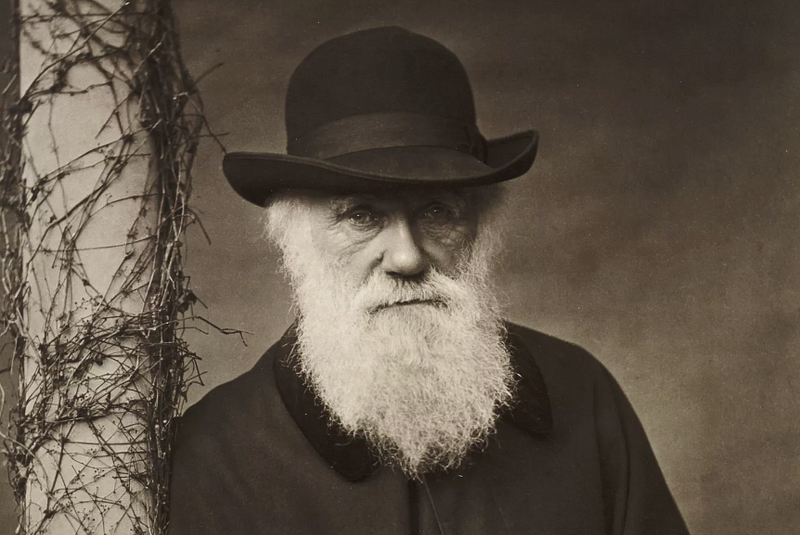 Portrait of Charles Darwin