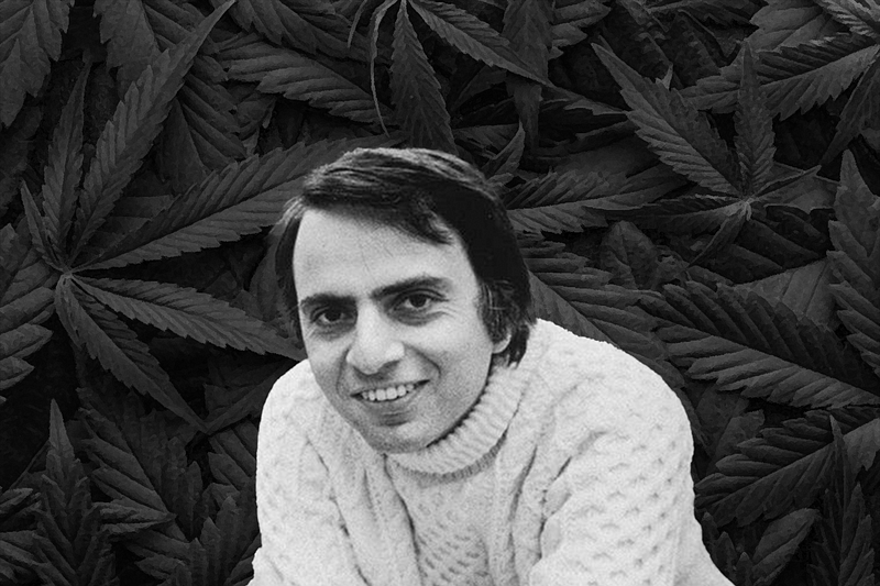 Carl Sagan's cannabis journey